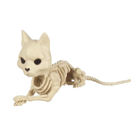 Seasons Usa Seasons 5 in. Skeleton Cat Halloween Decor W82196